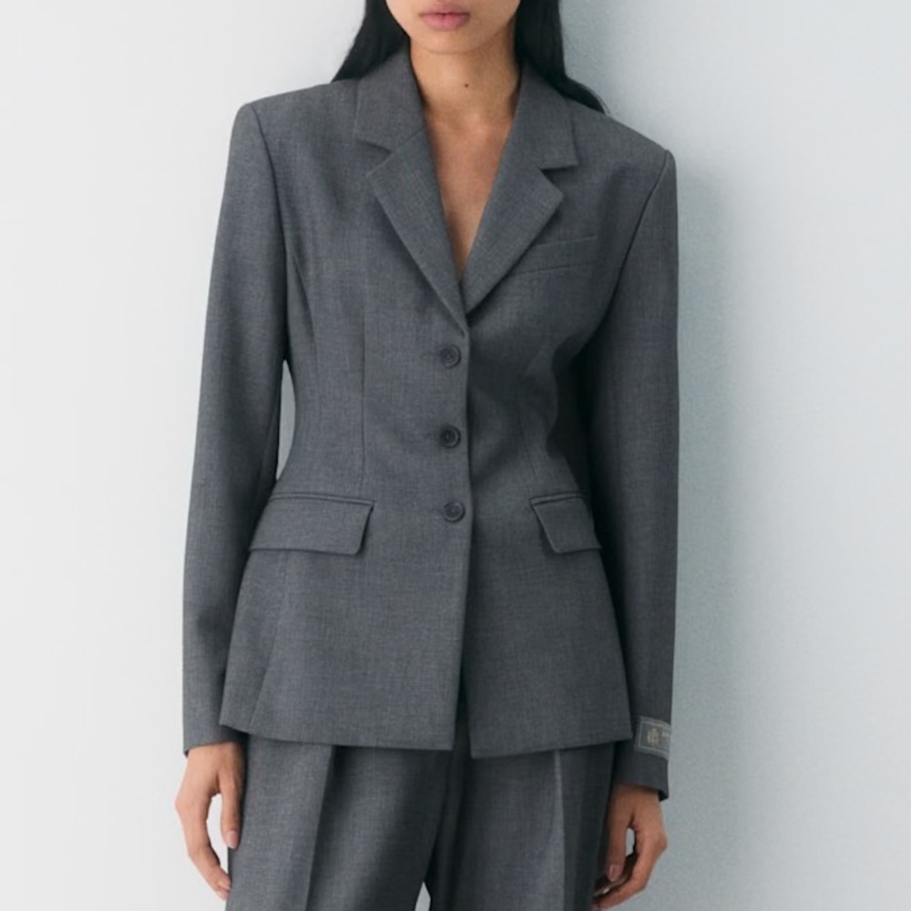 Aritzia Babaton Standout Blazer